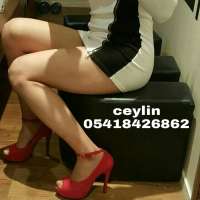 Sınırsız Hizmetler İle Tanışın: Canik Escort Deniz